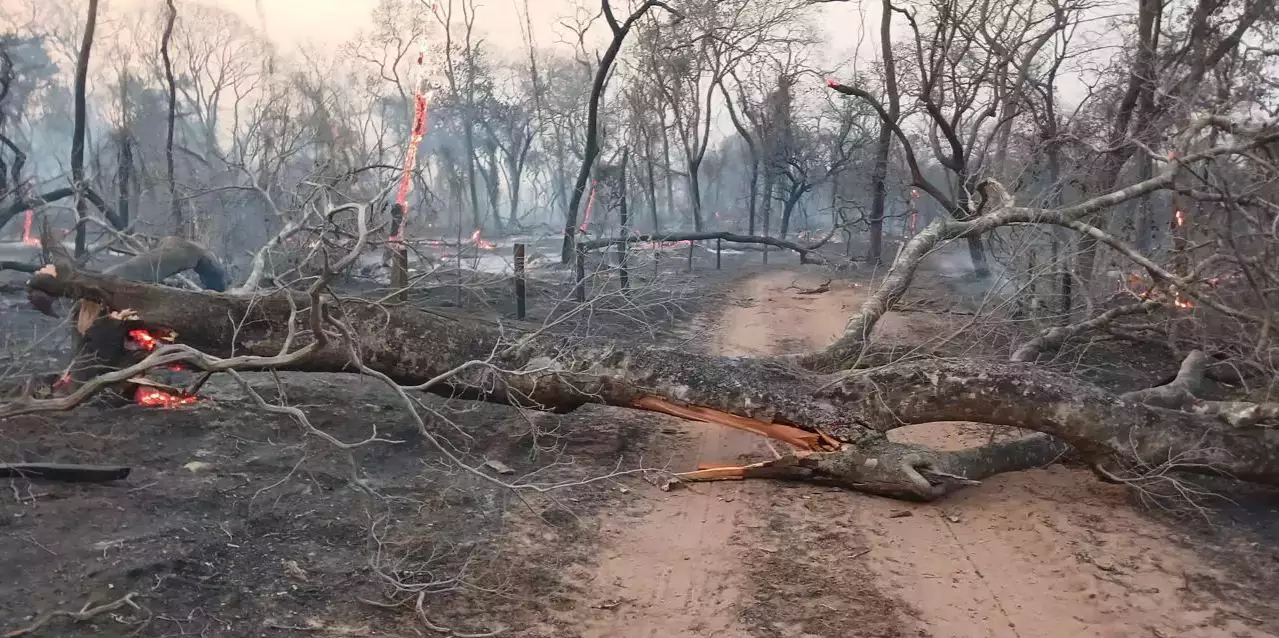 Bombeiros Brasileiros podem ser Mobilizados para Combater Incêndios na Bolívia