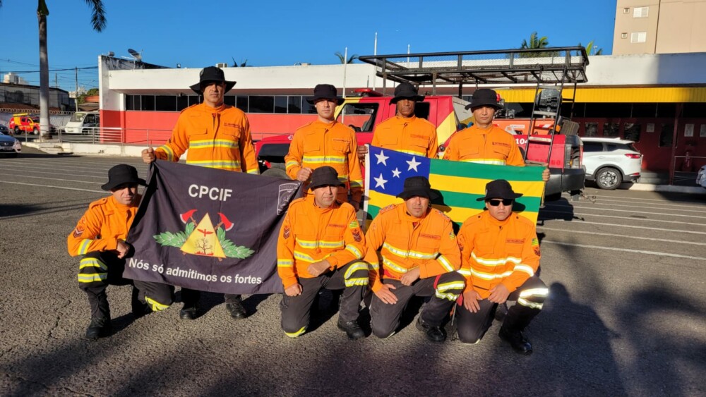 <strong>Bombeiros voltam a Goiás após missão de combate a incêndios no Pantanal</strong>